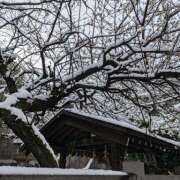 ヒメ日記 2026/02/08 14:03 投稿 にこ しゅうかつ倶楽部