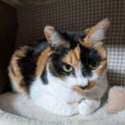 ヒメ日記 2026/03/07 09:37 投稿 にこ しゅうかつ倶楽部