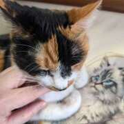 ヒメ日記 2026/03/08 18:35 投稿 にこ しゅうかつ倶楽部