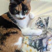 ヒメ日記 2026/03/10 20:15 投稿 にこ しゅうかつ倶楽部