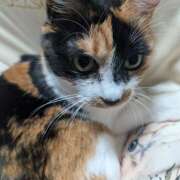 ヒメ日記 2026/03/28 11:11 投稿 にこ しゅうかつ倶楽部