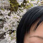 ヒメ日記 2026/03/29 15:18 投稿 にこ しゅうかつ倶楽部