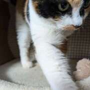 ヒメ日記 2026/04/02 11:11 投稿 にこ しゅうかつ倶楽部