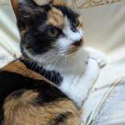 ヒメ日記 2026/04/06 08:35 投稿 にこ しゅうかつ倶楽部