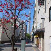 ヒメ日記 2026/04/13 08:35 投稿 にこ しゅうかつ倶楽部