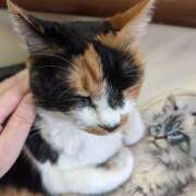 ヒメ日記 2026/04/27 00:02 投稿 にこ しゅうかつ倶楽部