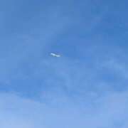 ヒメ日記 2026/09/29 11:11 投稿 にこ しゅうかつ倶楽部