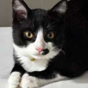 ヒメ日記 2026/02/11 15:24 投稿 おゆ 金瓶梅(きんぺいぱい)(雄琴)