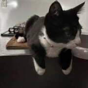 おゆ 🌙* :ﾟ 金瓶梅(きんぺいぱい)(雄琴)