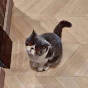 ヒメ日記 2026/02/23 09:20 投稿 ゆりの エピセレクション