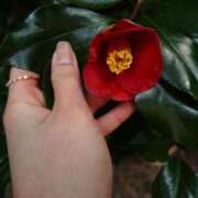 ヒメ日記 2026/03/03 13:52 投稿 ゆりの エピセレクション