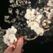 ヒメ日記 2026/03/19 10:01 投稿 ゆりの エピセレクション