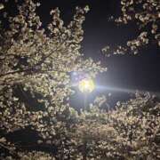 ヒメ日記 2026/04/10 13:34 投稿 ゆりの エピセレクション