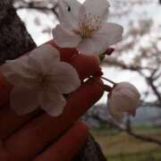 ヒメ日記 2026/04/16 08:24 投稿 ゆりの エピセレクション