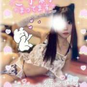 ヒメ日記 2026/02/11 10:15 投稿 リンカ【超美女激エロバニー】 ドＭなバニーちゃん小倉店