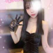 ヒメ日記 2026/02/15 10:31 投稿 リンカ【超美女激エロバニー】 ドＭなバニーちゃん小倉店