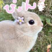 ヒメ日記 2026/06/21 12:16 投稿 リンカ【超美女激エロバニー】 ドＭなバニーちゃん小倉店