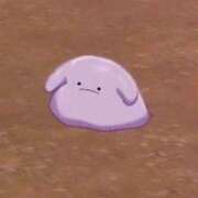 ヒメ日記 2026/03/17 18:06 投稿 うめ E+アイドルスクール