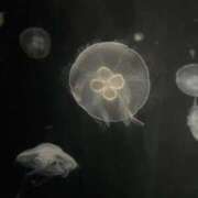 ヒメ日記 2026/04/12 22:00 投稿 さつき ミスキャンパス