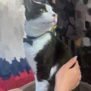 さつき 出勤🐱 ミスキャンパス