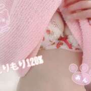 ヒメ日記 2026/03/19 12:55 投稿 あん【Ｍ】 乱密(ランミツ)