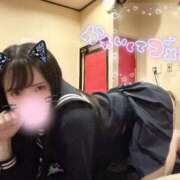 エキドナ [お題]from:らんらんさん MAHARAJA(マハラジャ)千葉