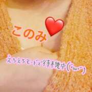 ヒメ日記 2026/02/15 16:46 投稿 このみ 川崎・東横人妻城