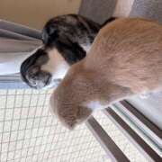 ヒメ日記 2026/02/08 19:31 投稿 あやかさん 鶯谷のデリヘル桃山