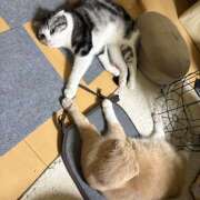 ヒメ日記 2026/02/27 07:57 投稿 あやかさん 鶯谷のデリヘル桃山