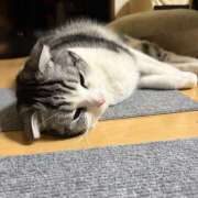 ヒメ日記 2026/03/02 19:27 投稿 あやかさん 鶯谷のデリヘル桃山