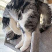 ヒメ日記 2026/03/16 19:12 投稿 あやかさん 鶯谷のデリヘル桃山