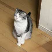 ヒメ日記 2026/03/26 07:57 投稿 あやかさん 鶯谷のデリヘル桃山