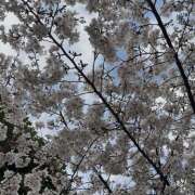 ヒメ日記 2026/03/27 23:07 投稿 あやかさん 鶯谷のデリヘル桃山