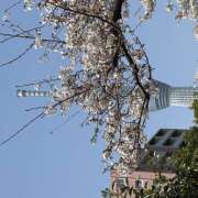 ヒメ日記 2026/03/30 20:10 投稿 あやかさん 鶯谷のデリヘル桃山