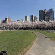 ヒメ日記 2026/04/03 21:10 投稿 あやかさん 鶯谷のデリヘル桃山