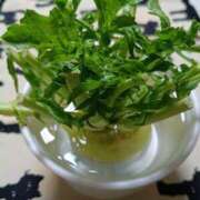 ヒメ日記 2026/02/15 22:52 投稿 きよか 美熟女倶楽部Hip's 春日部店