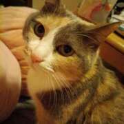 ヒメ日記 2026/02/17 23:22 投稿 きよか 美熟女倶楽部Hip's 春日部店