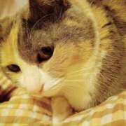 ヒメ日記 2026/03/03 23:32 投稿 きよか 美熟女倶楽部Hip's 春日部店