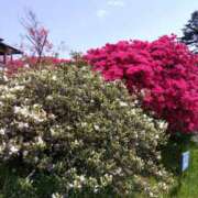 ヒメ日記 2026/02/22 08:21 投稿 めぐみ 茨城日立ちゃんこ