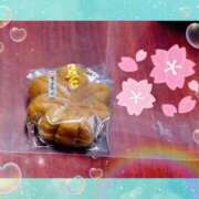 ヒメ日記 2026/02/27 17:49 投稿 めぐみ 茨城日立ちゃんこ