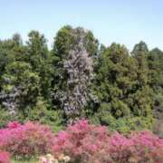 ヒメ日記 2026/03/03 08:19 投稿 めぐみ 茨城日立ちゃんこ