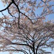 ヒメ日記 2026/03/16 09:19 投稿 めぐみ 茨城日立ちゃんこ