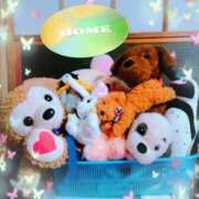 ヒメ日記 2026/04/05 17:19 投稿 めぐみ 茨城日立ちゃんこ