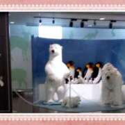 ヒメ日記 2026/04/08 09:09 投稿 めぐみ 茨城日立ちゃんこ