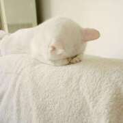 ヒメ日記 2026/02/28 15:14 投稿 ほのか いざ候 別館