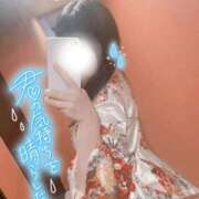 ヒメ日記 2026/04/10 16:04 投稿 ほのか いざ候 別館