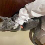 ヒメ日記 2026/02/15 22:18 投稿 れな ハピネス＆ドリーム 松山道後温泉