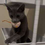 ヒメ日記 2026/02/26 12:18 投稿 れな ハピネス＆ドリーム 松山道後温泉