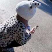 ヒメ日記 2026/02/09 15:50 投稿 矢野あきな 月の真珠-五反田-