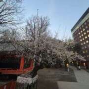 ヒメ日記 2026/02/18 06:25 投稿 えな あふたーすくーる本店